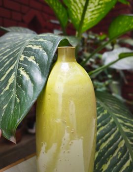 Glossy green vase