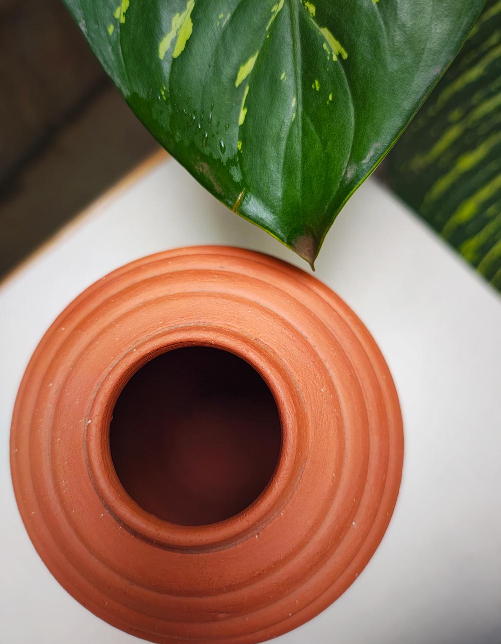 Ribbed-Terracotta-Vase_TOPVIEW