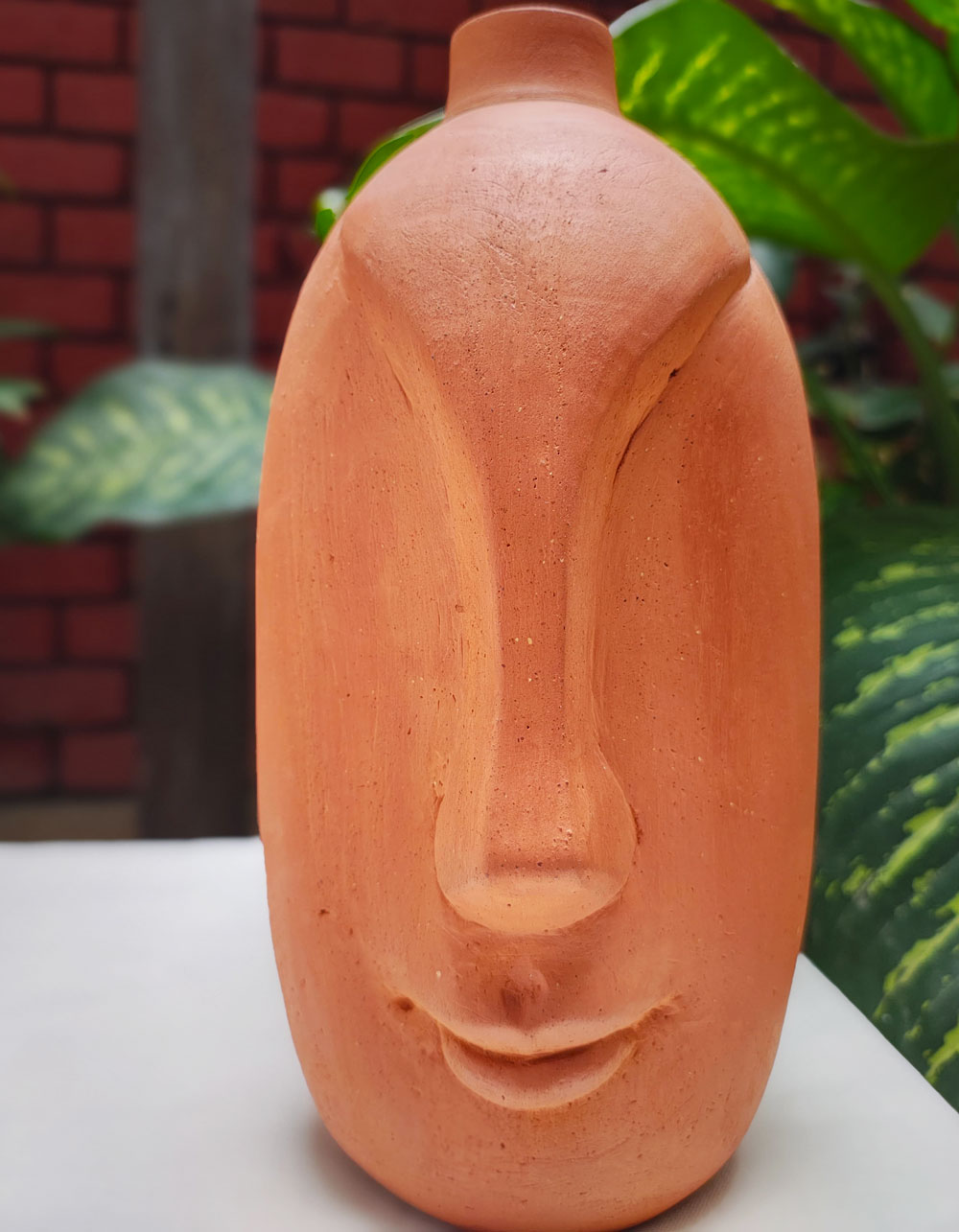 Terracotta-face-wash_CLOSEUP
